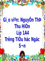 Bài 21. Ôn tập