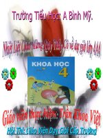 Bài 59. Nhu cầu chất khoáng của thực vật