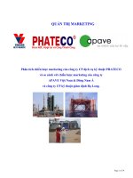 Phân tích chiến lược marketing của công ty CP dịch vụ kỹ thuật PHATECO và so sánh với chiến lược marketing của công ty  APAVE 
