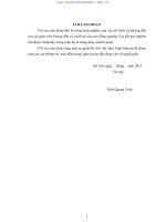 LUẬN án TS nghiên cứu chế tạo vật liệu nano bạcchất mang ứng dụng trong xử lý môi trường 