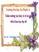 Bài 55 - 56. Ôn tập: Vật chất và năng lượng