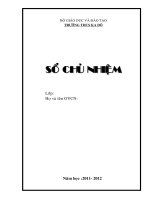 Mau so chu nhiem cap THCS