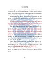 Giải pháp đào tạo nguồn nhân lực tại văn phòng hội đồng nhân dân   ủy ban nhân dân các cấp tỉnh hậu giang (tt) 