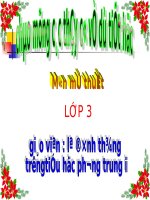 Bài 18. Vẽ lọ hoa