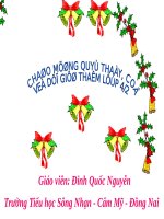 Ôn tập về Tìm số trung bình cộng