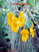 Tuần 24. Nghe-viết: Đối đáp với vua