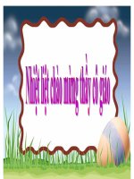 Bài 61. Trao đổi chất ở thực vật