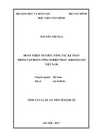 HOÀN THIỆN tổ CHỨC CÔNG tác kế TOÁN TRONG tập đoàn CÔNG NGHIỆP THAN   KHOÁNG sản VIỆT NAM 
