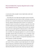 Phân tích MARKETING trong hoạt động kinh doanh của ngân hàng AGRIBANK việt nam 