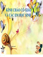 Tuần 25. Khuất phục tên cướp biển