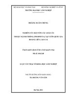 Nghiên cứu bảo tồn các loài cây thuộc ngành thông (pinophyta) tại vườn quốc gia hoàng liên   lào cai 