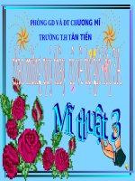 Bài 10. Xem tranh tĩnh vật