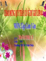 Tuần 9-11. Luyện tập trao đổi ý kiến với người thân