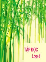 Tuần 4. Tre Việt Nam