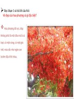 Tuần 23. Khúc hát ru những em bé lớn trên lưng mẹ