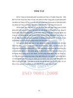 Quản trị kênh phân phối sản phẩm tại công ty cổ phần xăng dầu – dầu khí trà vinh (tt) 