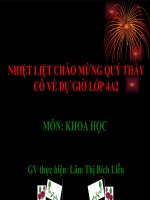 Bài 24. Nước cần cho sự sống