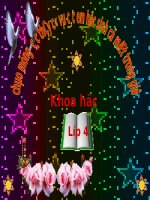 Bài 55 - 56. Ôn tập: Vật chất và năng lượng