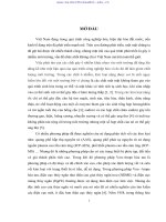 LUẬN án TS nghiên cứu phương pháp von ampe hòa tan với điện cực paste nanocacbon biến tính bằng oxit bitmut để xác định hàm lượng vết cadimi (cd), indi (in) và chì (pb) 