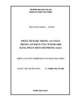 PHÂN TÍCH HỆ THỐNG AN TOÀN TRONG LÒ PHẢN ỨNG WWER-1000 BẰNG PHẦN MỀM MÔ PHỎNG IAEA