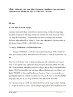 Phân tích cách hoạt động marketing của công ty sơn akzonobel việt nam và các đối thủ sơn KOVA – ORANGE việt nam