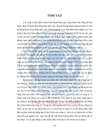 Phát triển hệ thống đại lý bảo hiểm của công ty bảo hiểm PVI sông tiền – chi nhánh trà vinh (tt)