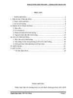 Tiểu luận chuyên viên   mè dũng