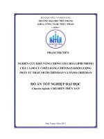Nghiên cứu khả năng chống oxy hóa lipid trong chả cá đỏ củ chiên bằng chitosan khối lượng phân tử thấp, muối chitosan và nano chitosan 