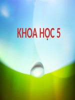 Bài 4. Cơ thể chúng ta được hình thành như thế nào?