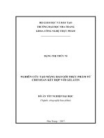 Nghiên cứu tạo màng bao gói thực phẩm từ chitosan kết hợp với gelatin 