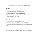 Đề cương ôn tập học kì II môn Tin học 12