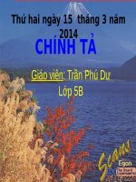 Tuần 13. Nghe-viết: Hành trình của bầy ong