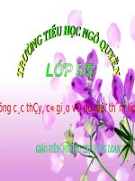 Tuần 15. MRVT: Hạnh phúc