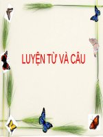 Tuần 1. Luyện tập về cấu tạo của tiếng