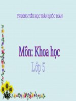 Tuần 1. Cấu tạo của tiếng