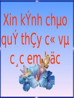 Tuần 25. Cửa sông