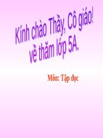 Tuần 7. Tiếng đàn ba-la-lai-ca trên sông Đà