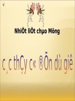 Tuần 7-8-9. Luyện tập phát triển câu chuyện