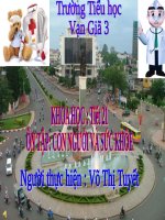 Bài 20-21. Ôn tập: Con người và sức khỏe