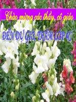 Tuần 5. Đoạn văn trong bài văn kể chuyện