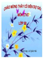 Tuần 14. Ôn tập về từ loại