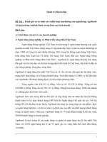 Đánh giá và so sánh các chiến lược marketing của ngân hàng agribank với ngân hàng anbink bank trong lĩnh vực kinh doanh 