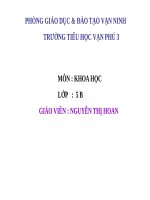 Bài 55. Sự sinh sản của động vật