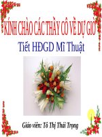 Bài 24. Đề tài tự do