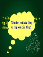 Tuần 12. Cấu tạo của bài văn tả người