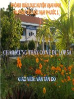 Tiết 29. Ôn tập TĐN số 7, số 8