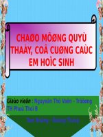 Tuần 15. Nghe-viết: Buôn Chư Lênh đón cô giáo