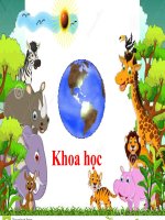 Bài 54. Nhiệt cần cho sự sống