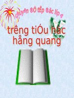 Tuần 9. Luỹ tre