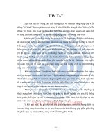 Nâng cao chất lượng dịch vụ internet băng rộng của viễn thông trà vinh (tt) 